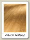 Ahorn Nature